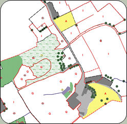 Phase 1 Habitat map